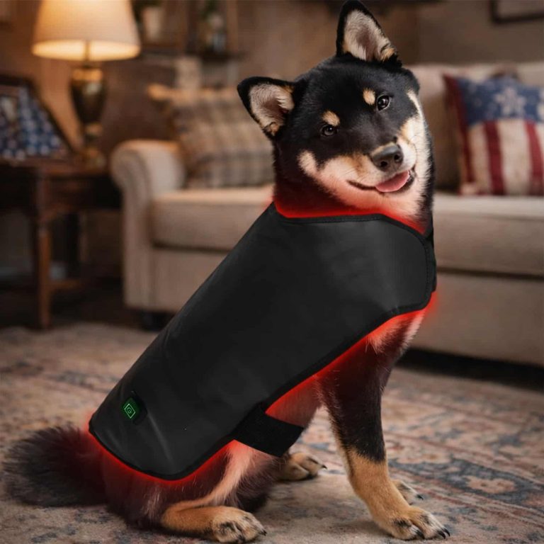 Dog Red Light Therapy Wrap with Dual Wavelengths, 15-Min Auto Shutoff