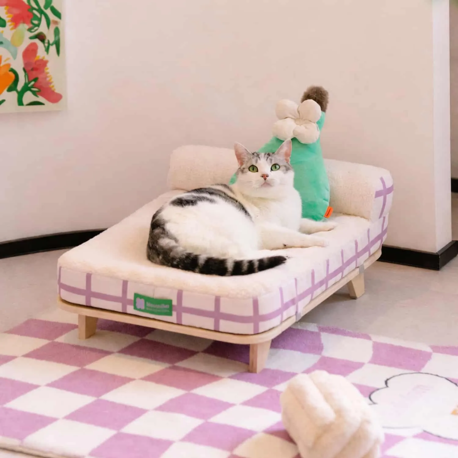 Elevated orthopedic pet bed with solid birch wood frame and raised legs, removable egg crate foam mattress with particle velvet surface, waterproof canvas sides, PP cotton bolster pillow, anti-slip frame and mattress base, zipper removable washable cover, for cats and small dogs to 30 lbs