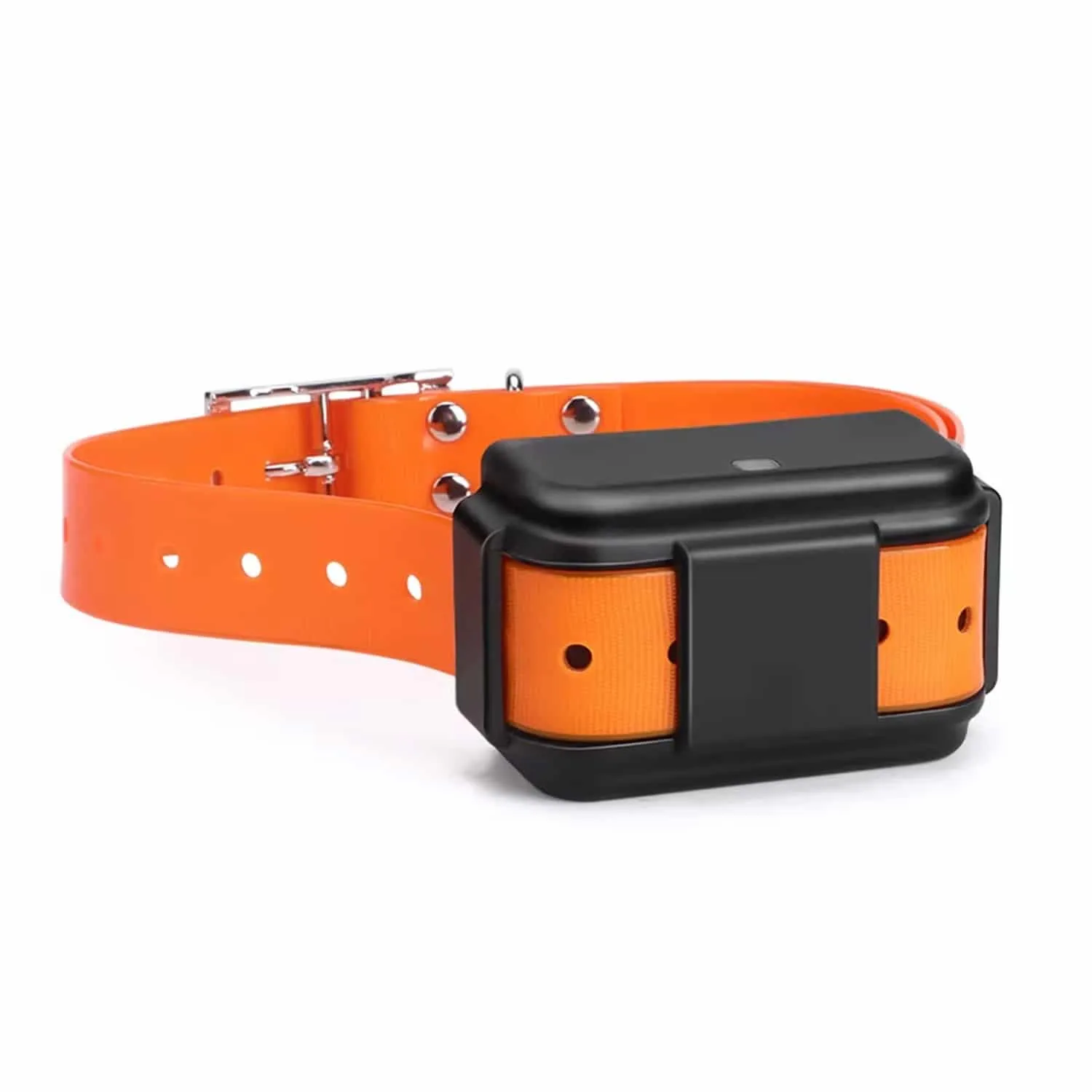 4G GPS dog tracker mounted on adjustable blue collar shown on medium and large breed dogs