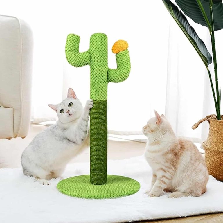 Cactus cat scratching post fully wrapped in sisal