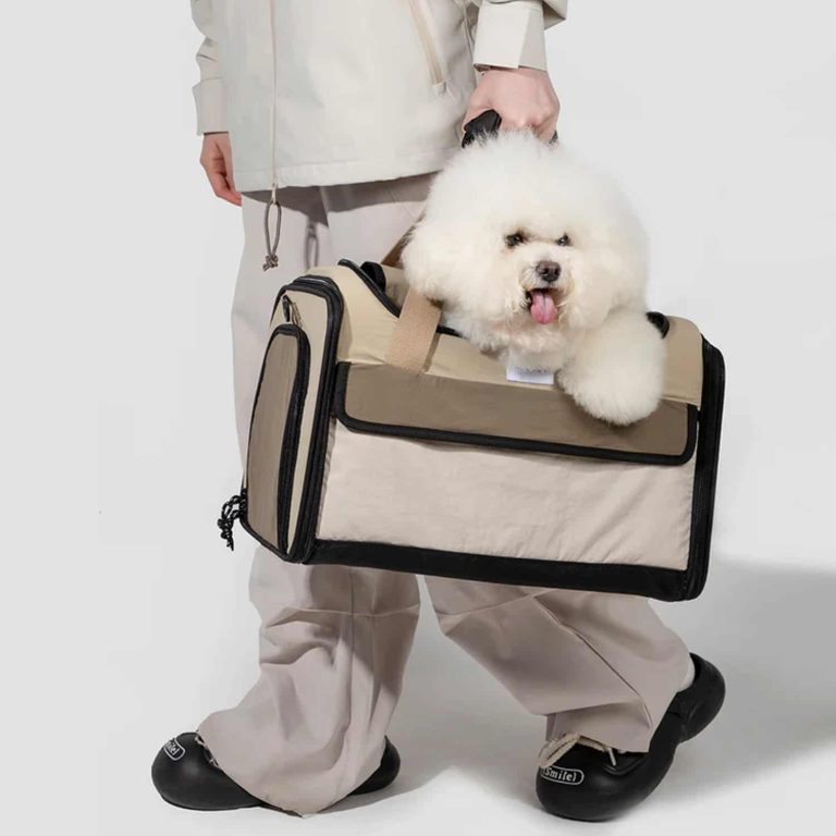 Airline Approved Pet Carrier Bag, Floor to Ceiling Side Doors, Large Mesh Window, Collapsible Nylon, Back Pocket