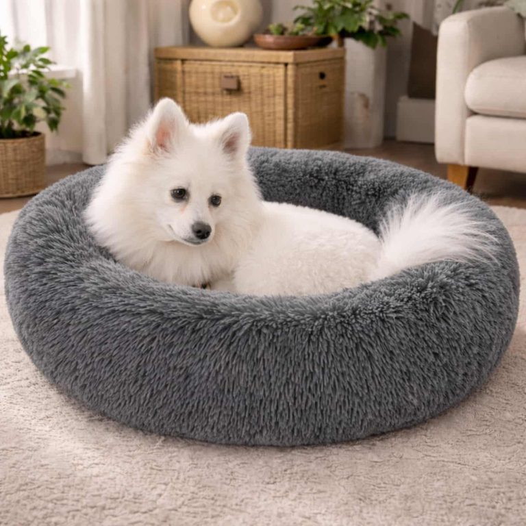 Calming Donut Pet Bed, Raised Rim Neck Support, PP Cotton Fill, Machine Washable