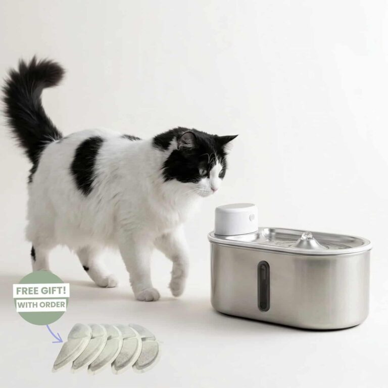 Cordless Pet Water Fountain, Stainless Steel, Infrared Sensor, 100 oz, Type C