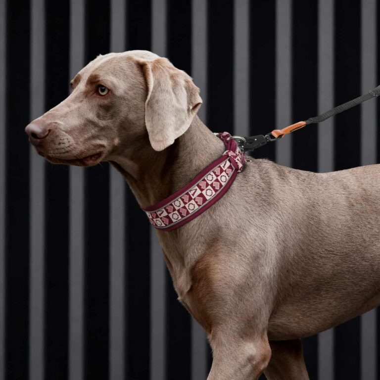 Retro Dog Collar with Mesh Padding, Reflective Strips, Zinc Alloy Buckle