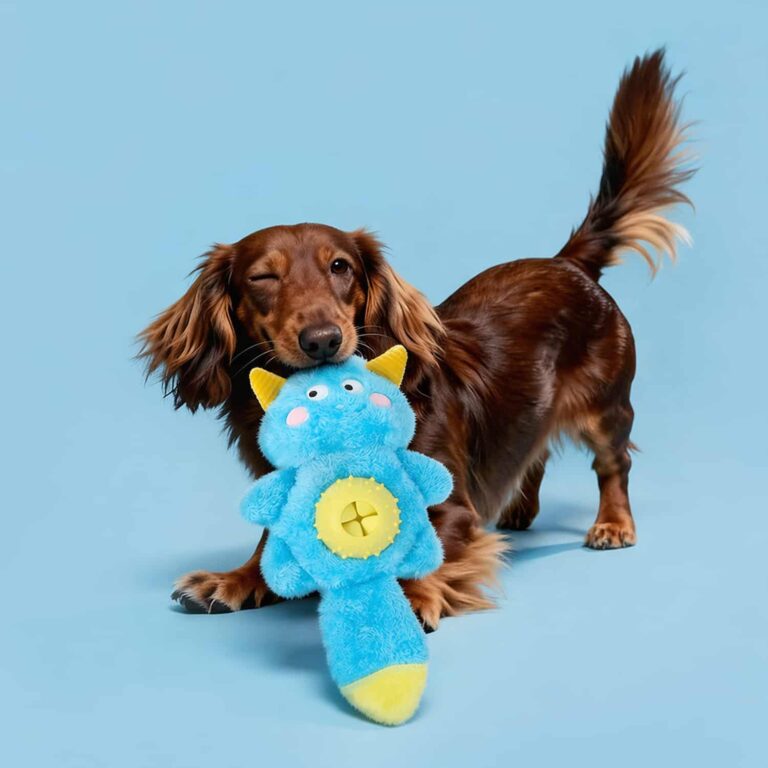 Little Monster Dog Plush Toy with Hidden Treat Pocket and Squeaker