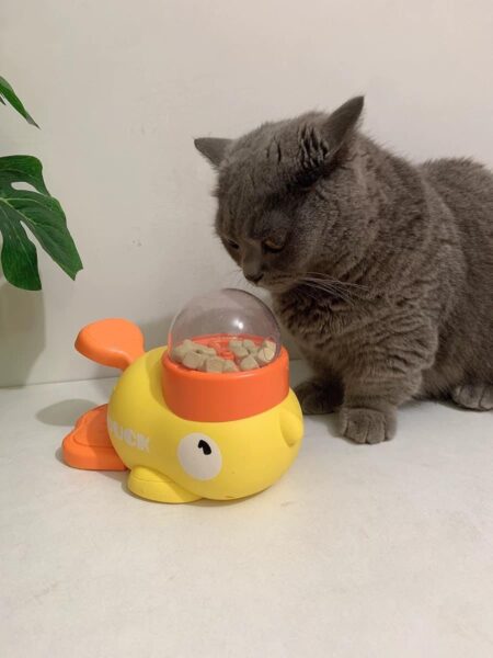 Review image for 206