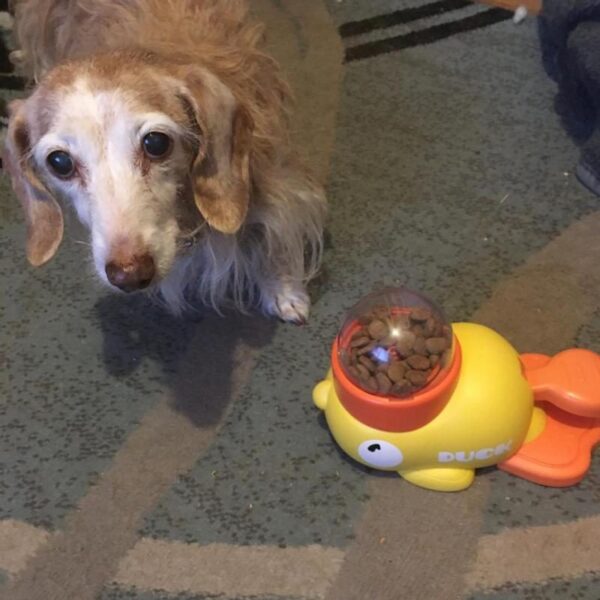 Review image for 206