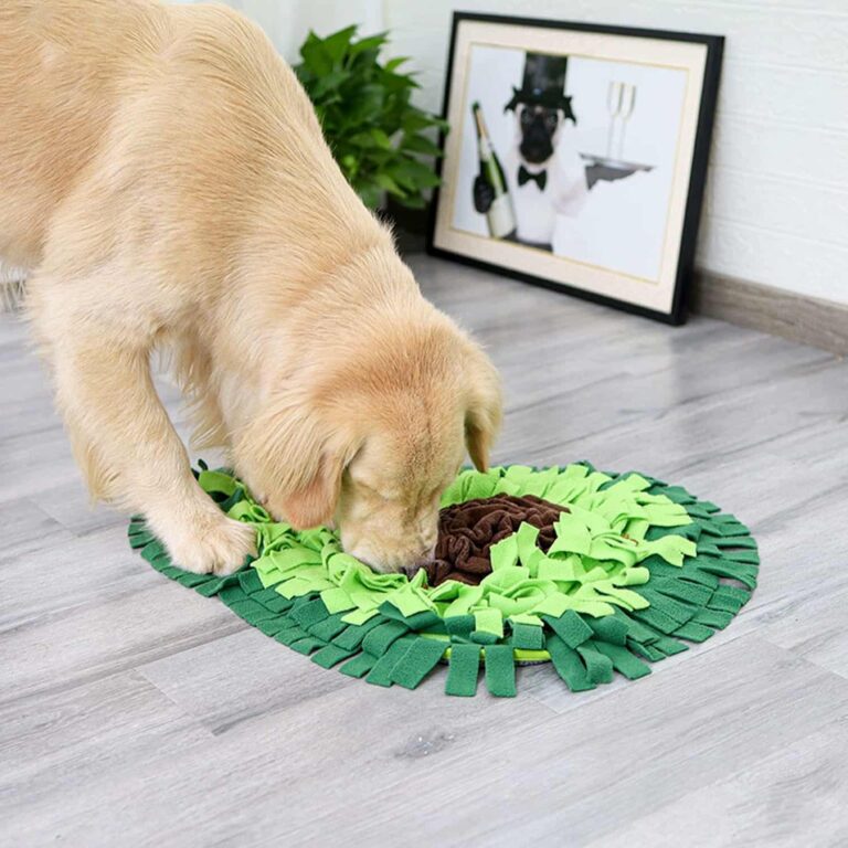 Dog Snuffle Mat That Slows Eating Through Nose Work, Avocado Shape