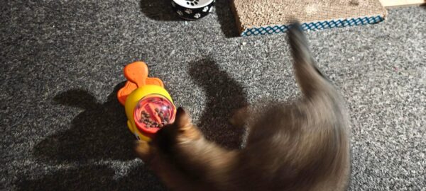 Review image for 206