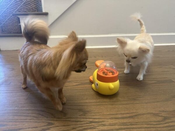 Review image for 206