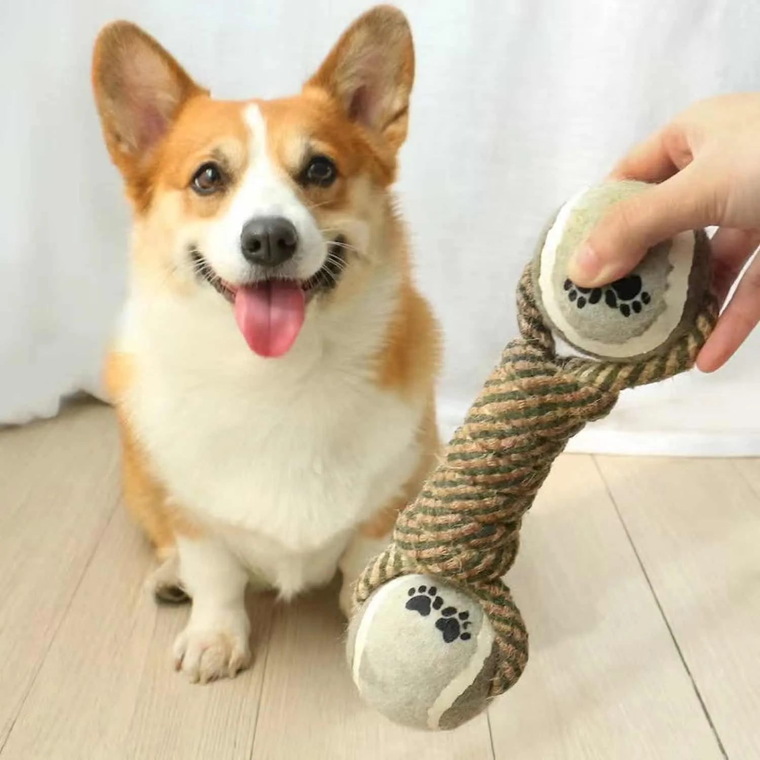 Cotton rope dumbbell dog toy with two paw print tennis balls on each end shown with a Corgi