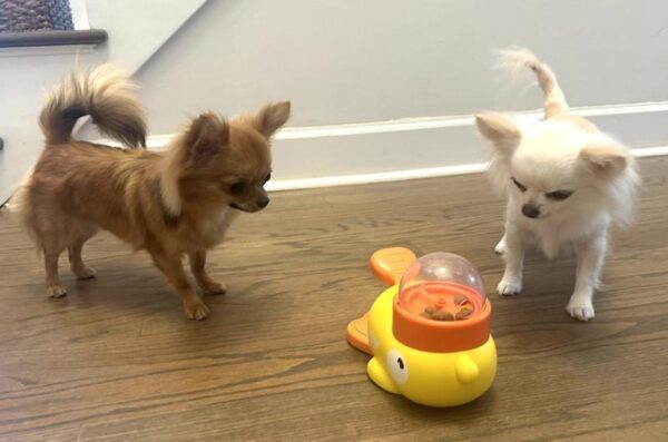 Review image for 206