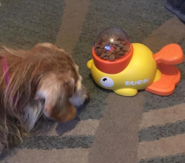 Review image for 206