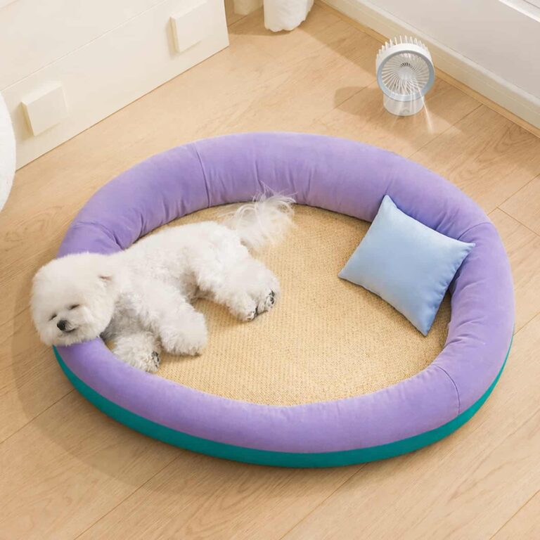 Cat Bed That Cools Without Gel or Water, Rattan Mat Center, Bolster Edges, Purple Charm