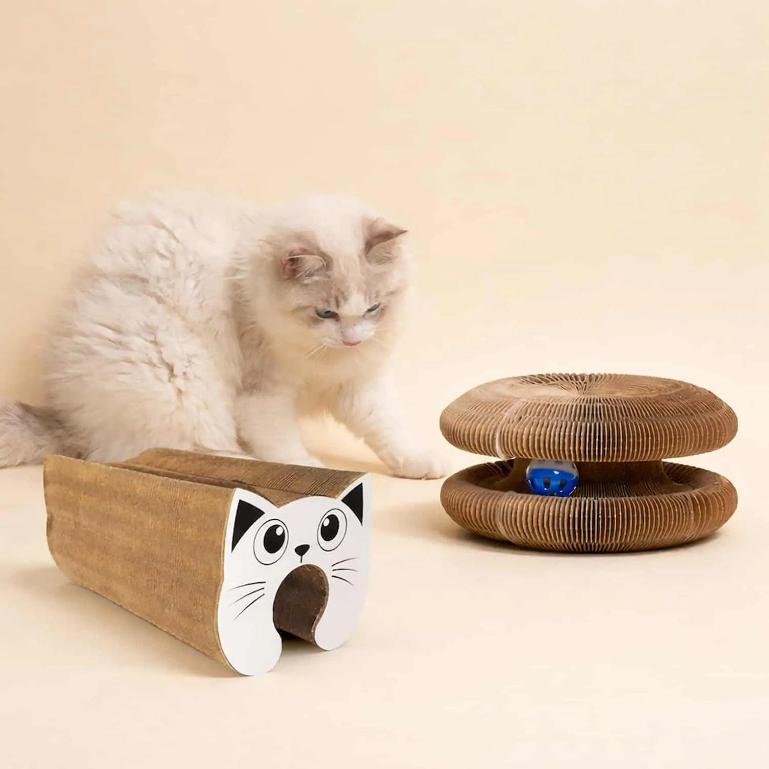 Brown accordion cardboard cat scratcher shown in circular form with built in ball track and a cat sitting beside it