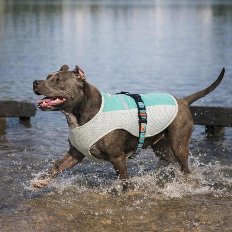 Cooling Dog Vest That Drops Body Heat with 3 Layer Evaporative Fabric, UV Reflective
