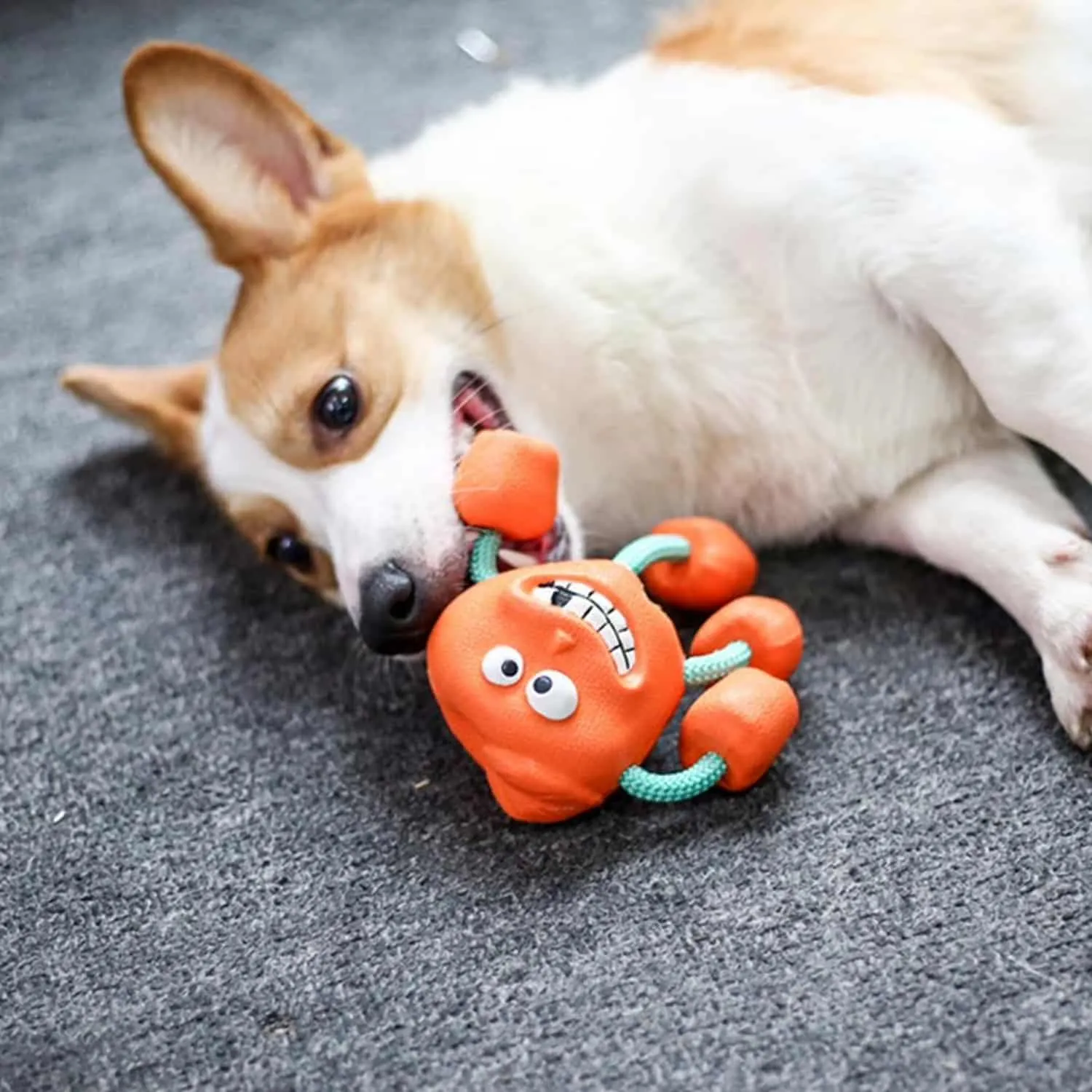 Orange rubber monster dog toy with googly eyes, grinning face, and four knotted rope limbs shown with a small dog