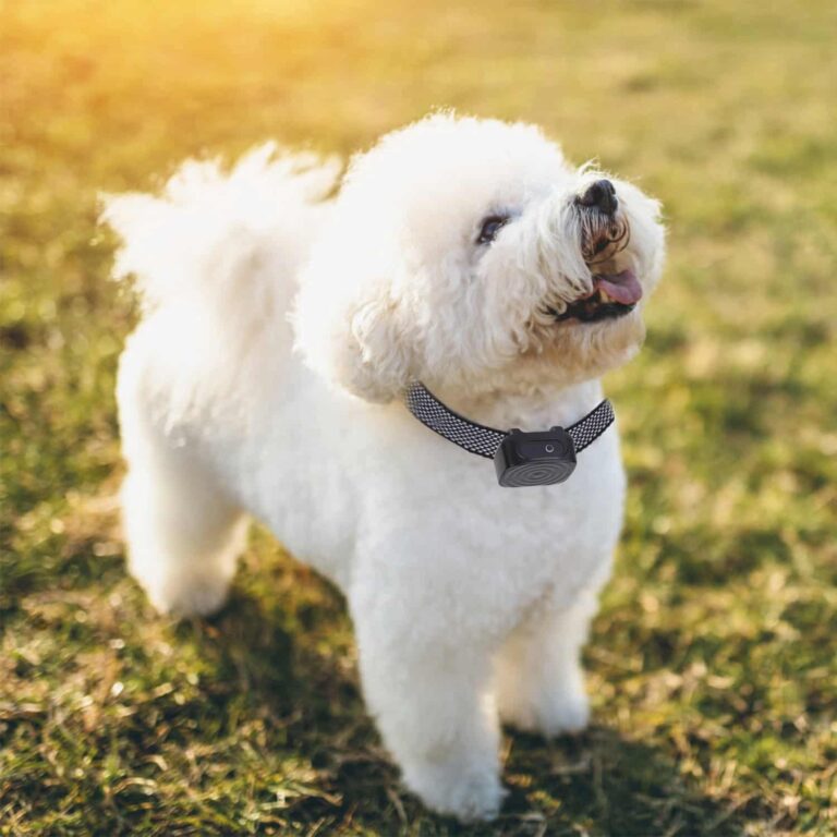 No Shock Anti Bark Collar with Vibration and Beep, Auto Detect, 5 Sensitivity Levels, IP67 Waterproof, Rechargeable