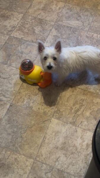 Review image for 206