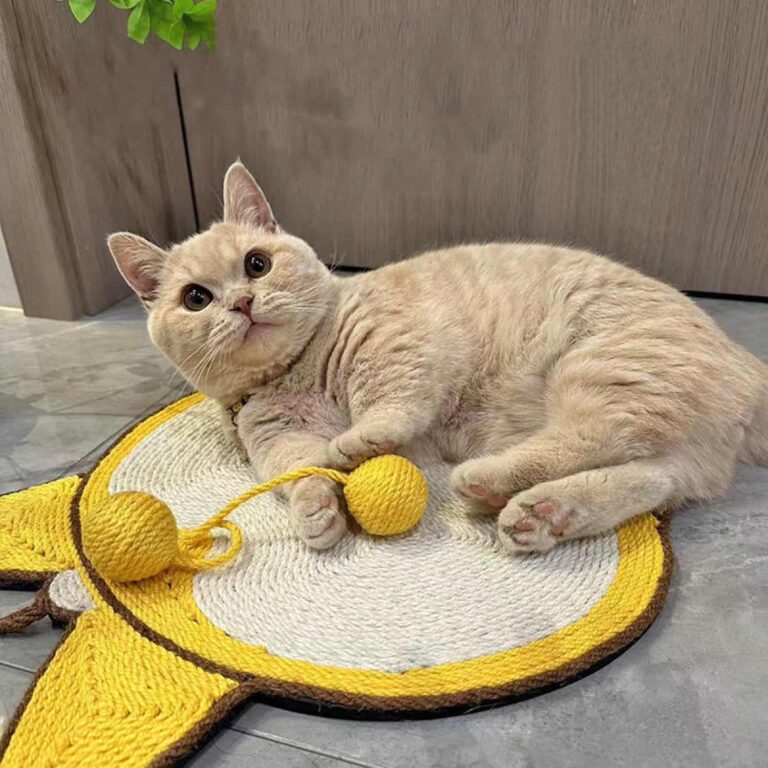 Sisal Cat Scratcher Pad That Hangs on Any Wall or Lies Flat