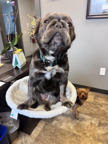 Review image for 4954