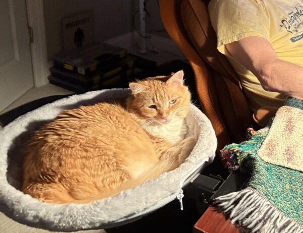 Review image for 4954