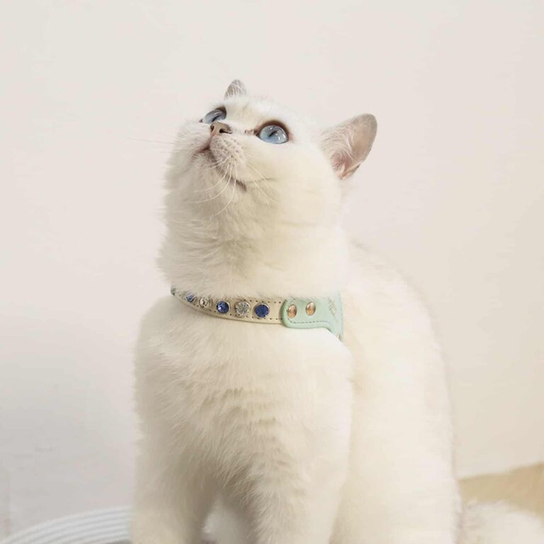 Cat Harness and Leash Set with Rhinestones, PU Leather