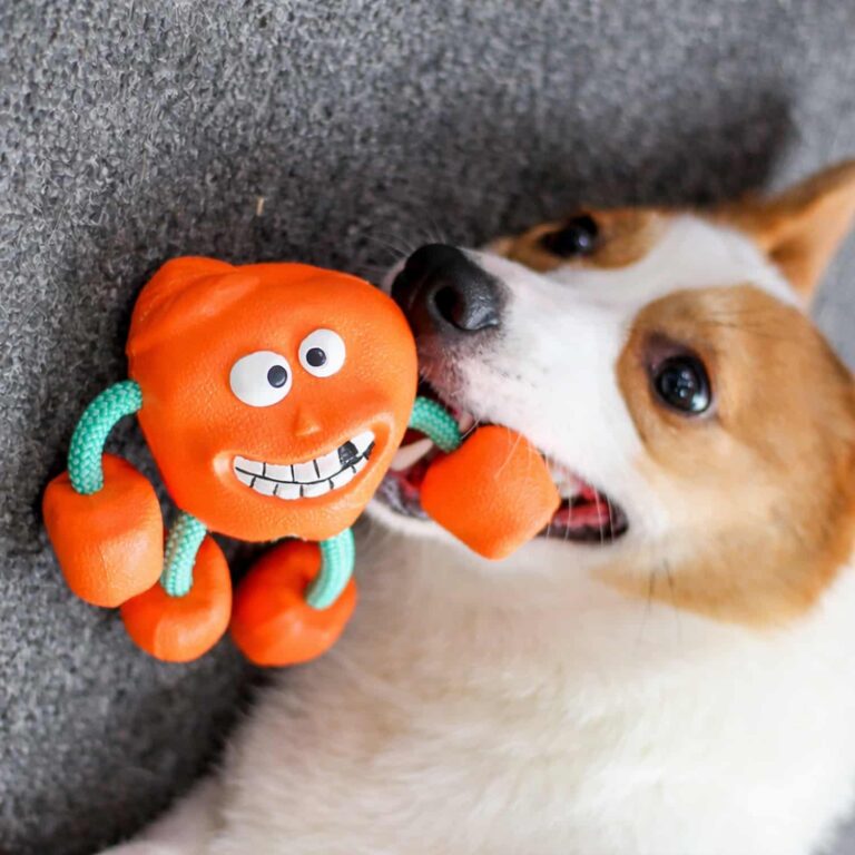 Squeaky Monster Dog Toy with Rope Limbs, Rubber Body, Teeth Cleaning