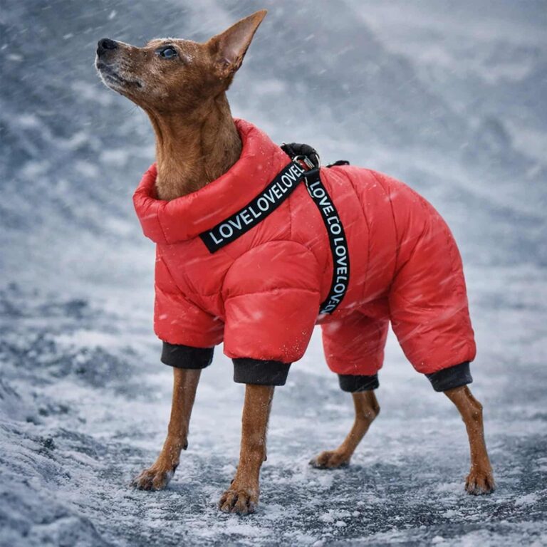 Dog Snowsuit with 4 Leg Coverage and Built In Harness, Windproof, Polar Cotton Lined