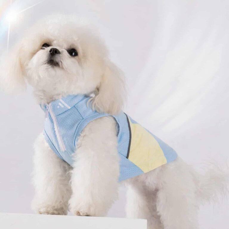 Dog Sun Shirt with UPF 50+ and Built In Leash Ring, Blocks 95% UV