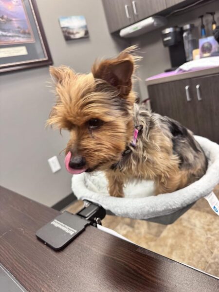 Review image for 4954