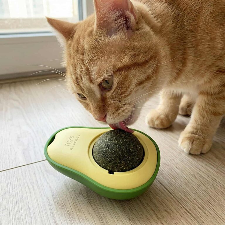 Cat Catnip Toy with Spinning Ball Inside Avocado Shell, Mint or Silvervine