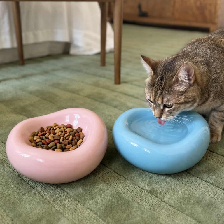 Cloud Shape Ceramic Cat Bowl, 1280°F Fired Non-Porous Glaze, Prevents Chin Acne, Wide Shallow Basin