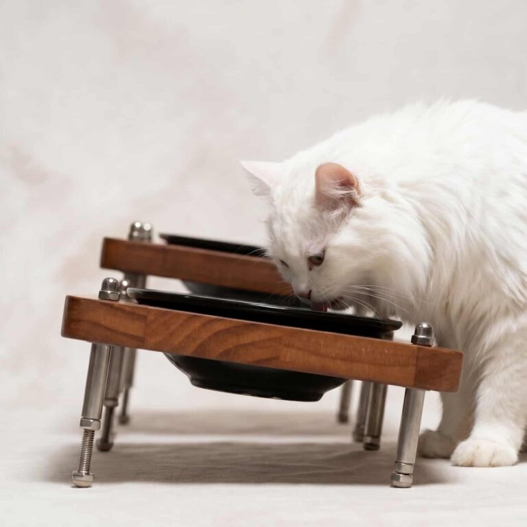 Elevated Pet Bowl, Height Adjustable 3.5 to 4.7 in, New Zealand Pine Wood, Tilt Angle