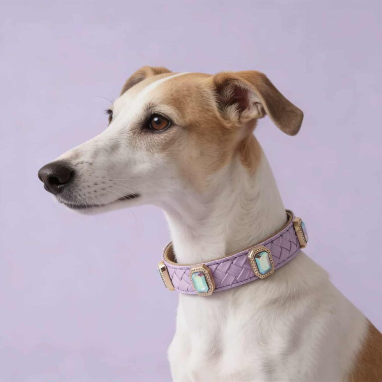 Rhinestone Woven Leather Cat Collar, Iridescent Gem Pet Necklace, Soft No Chafe