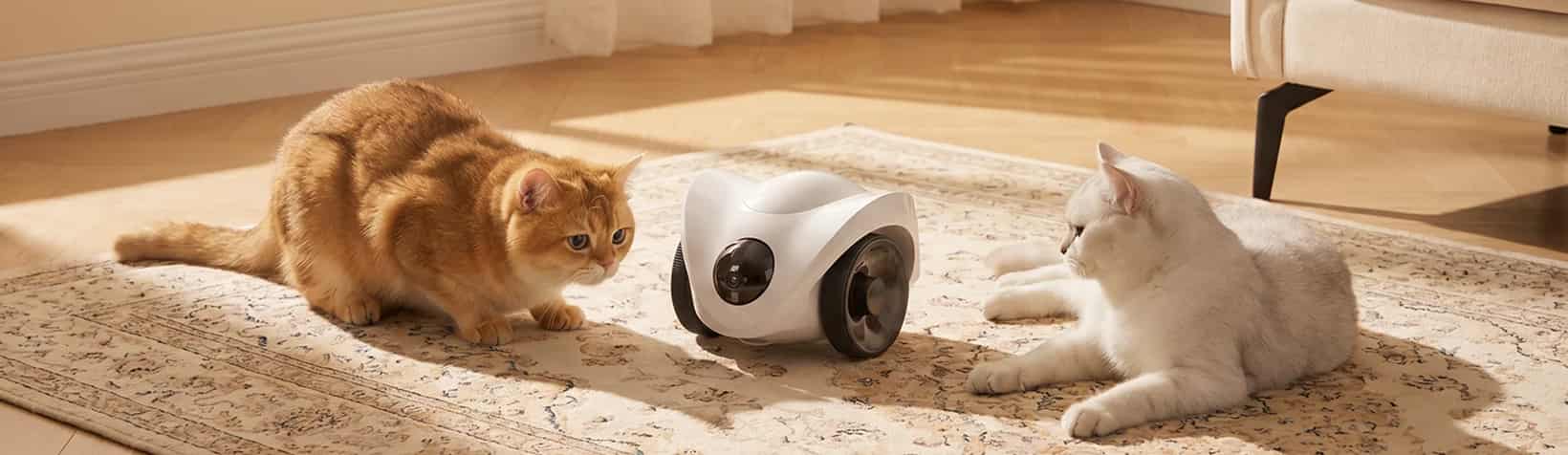 Always_watching