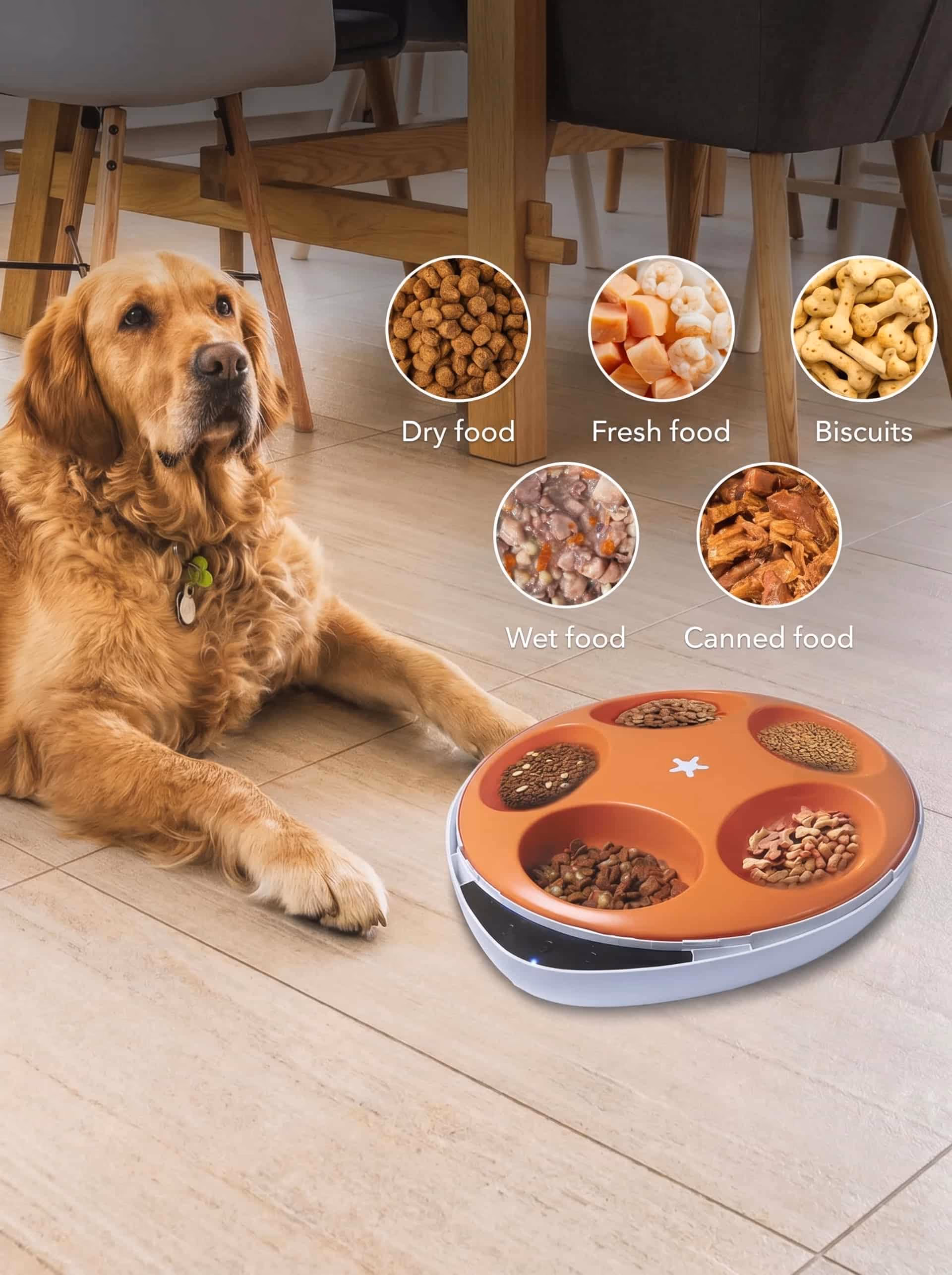 Orbit 5-Meal Feeder