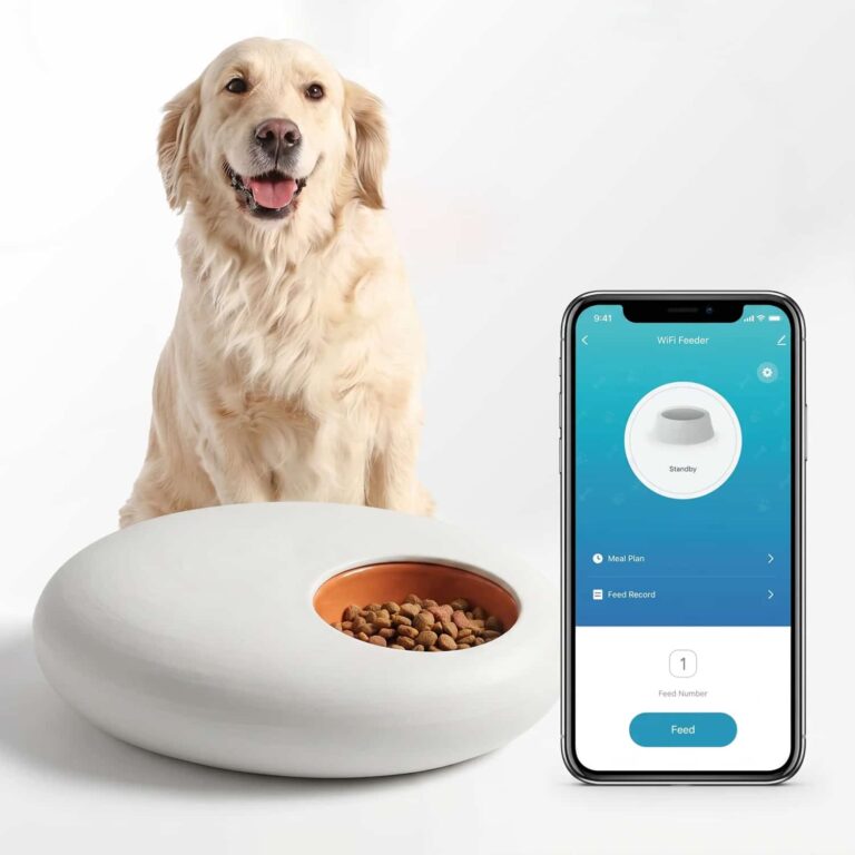 Orbit 5-Meal Feeder