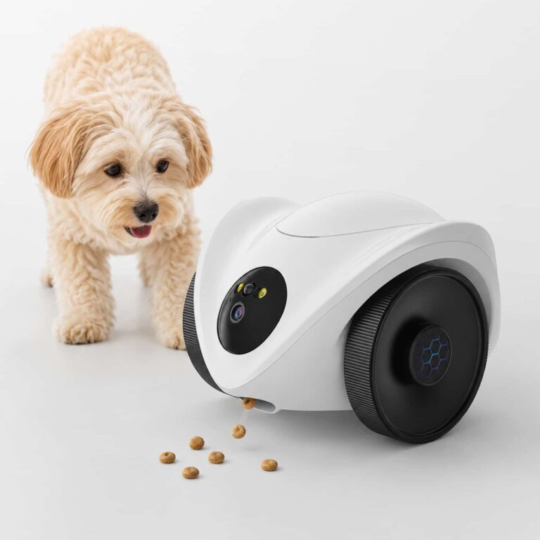 Scout Roaming Pet Camera