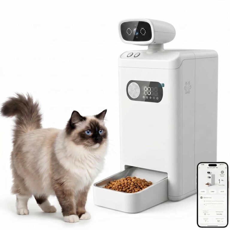 Companion AI Camera Feeder