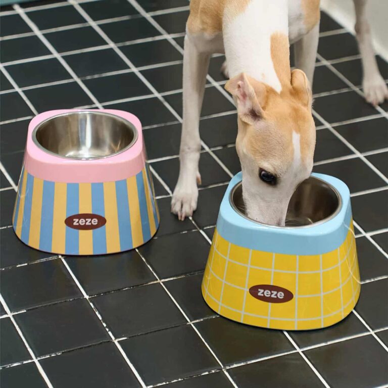 Retro Print Elevated Stainless Steel Cat Bowl, 304 Grade Removable Insert, 5.1 in Height, Anti-Tip Silicone Base