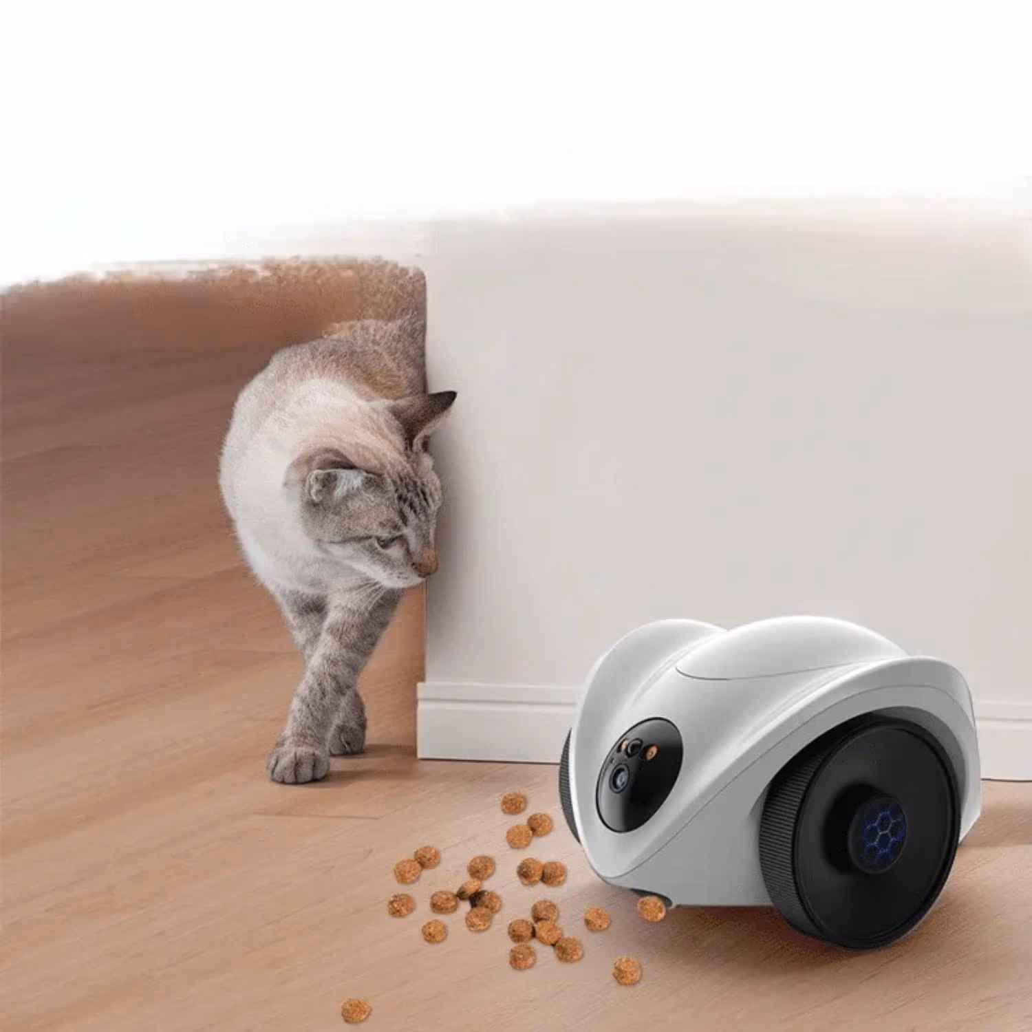 Scout Roaming Pet Camera