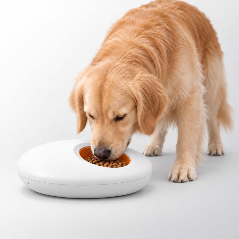 Orbit® 5-Meal Feeder