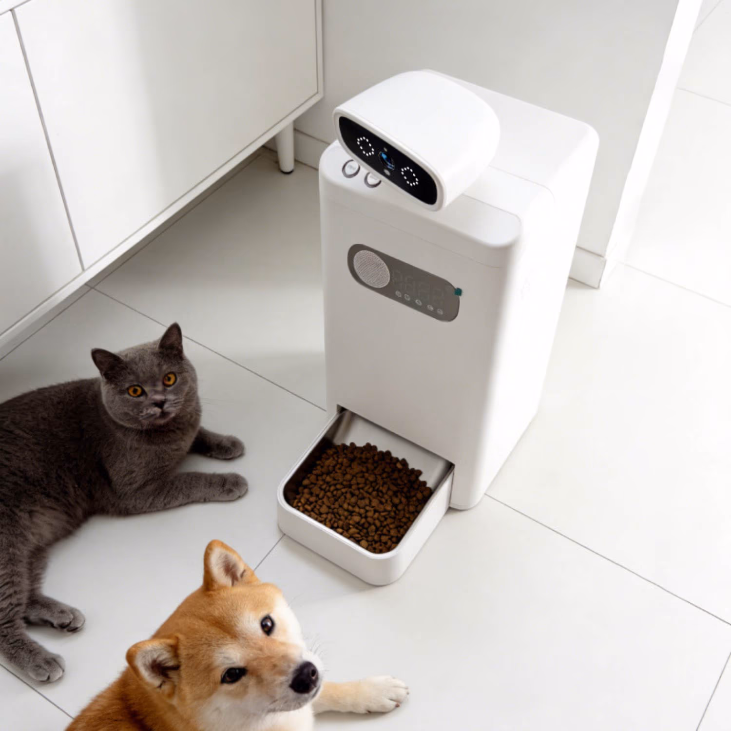 Companion feeder camera controls
