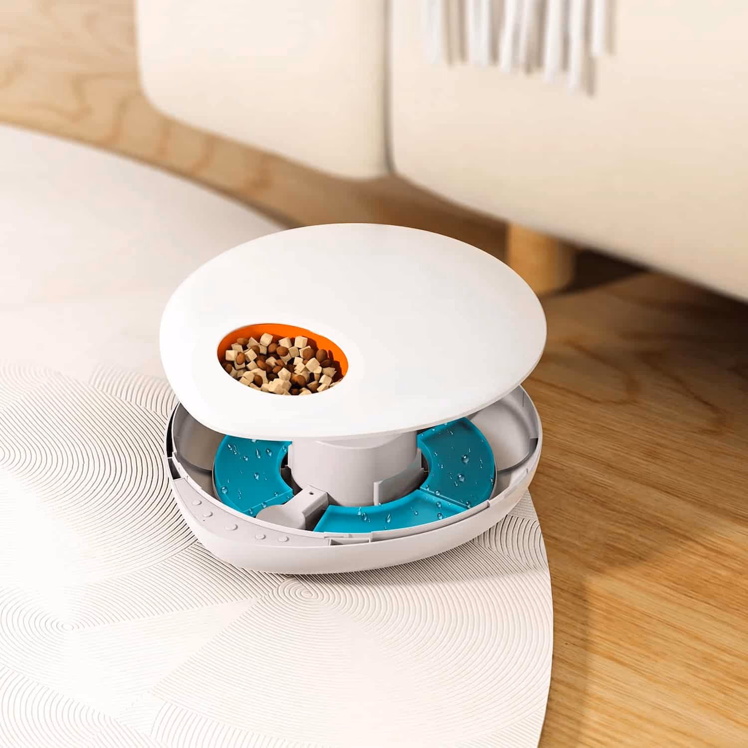 Orbit 5-Meal Feeder