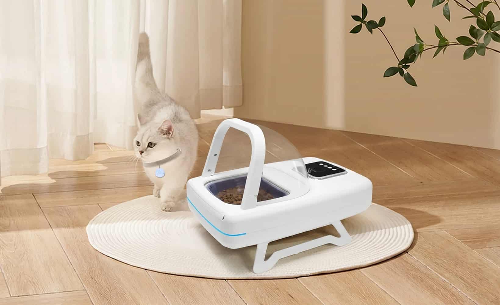 Modern_living,_happy_cats