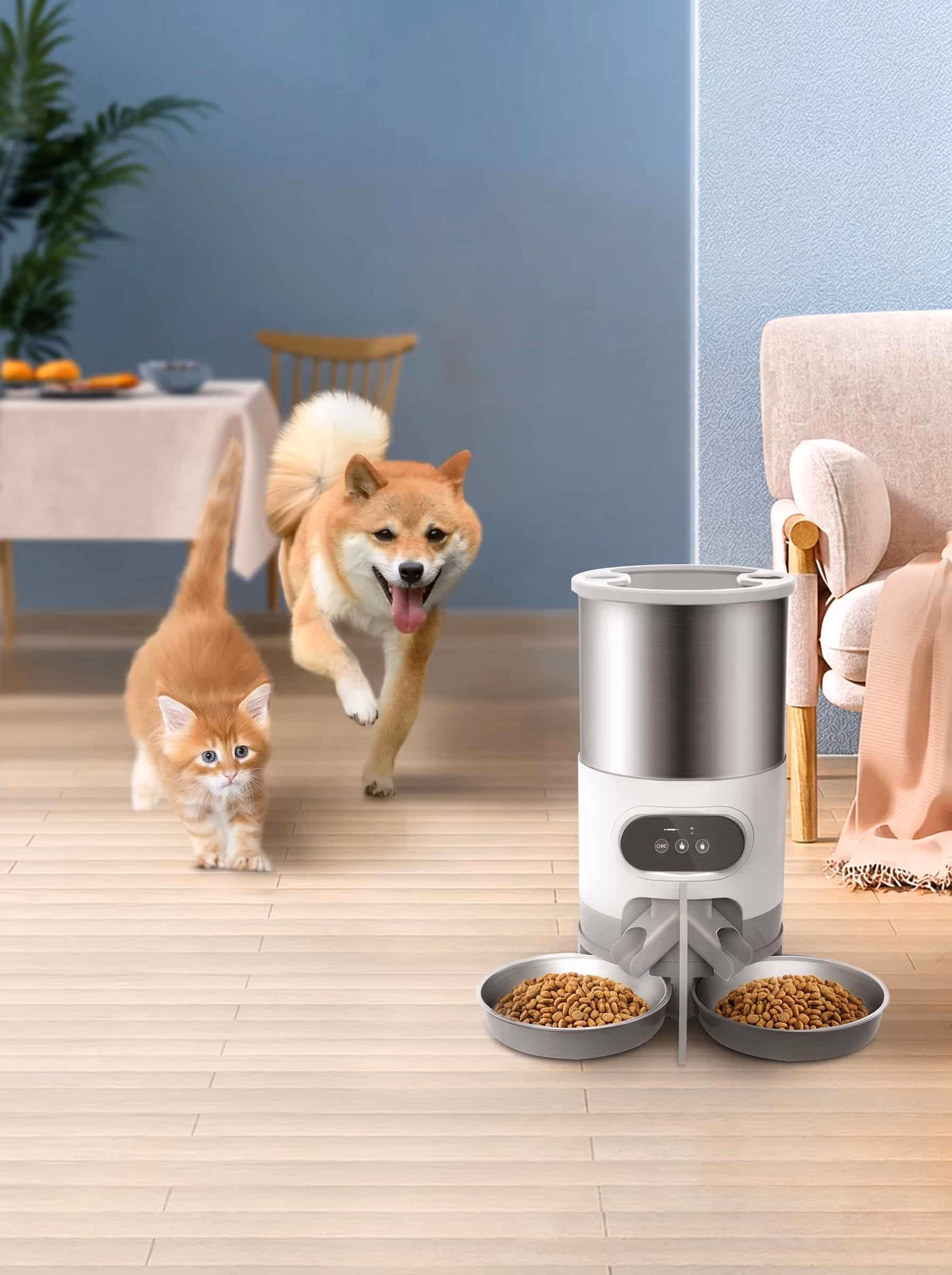 DuoBowl WiFi Feeder