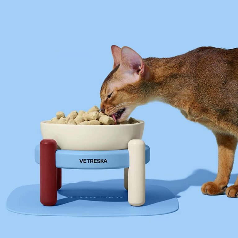 VETRESKA Ceramic Cat Bowl, Bamboo Stand, Silicone Mat, Dishwasher Safe