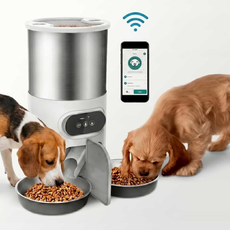 DuoBowl® WiFi Feeder