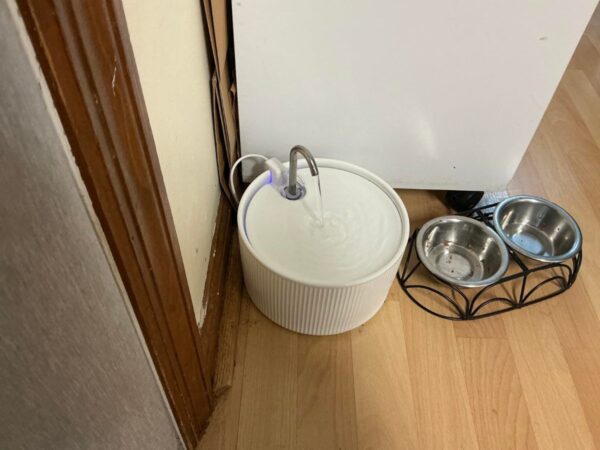 Review image for 6178